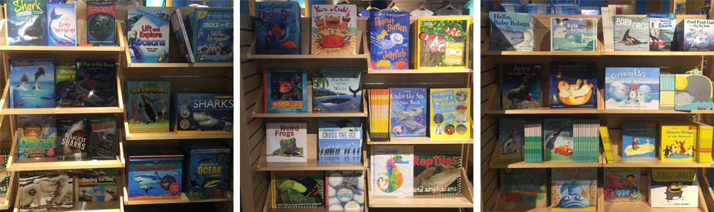 Curious George Mystic Aquarium Their Connection Kidstravelbooks